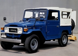 Toyota, Land Cruiser