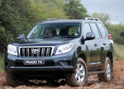 Toyota, Land Cruiser, Prado TX, Droga