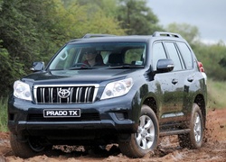 Toyota, Land Cruiser, Prado TX, Droga