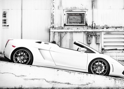 Lamborghini, Gallardo, ADV1