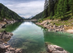 Rzeka, Kamienie, Las