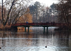 Park, Jezioro, Most, Mewy