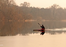 Kajakarz, Jezioro, Drzewa