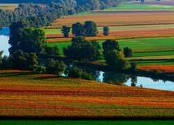 Rzeka, Pola, Drzewa, Jesień
