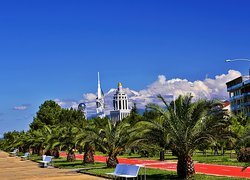 Batumi, Park, Palmy, Pałac