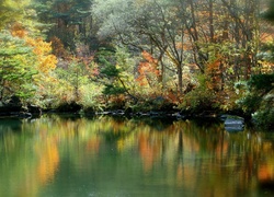 Jesień, Jezioro, Drzewa, Kolorowe, Liście, Odbicie