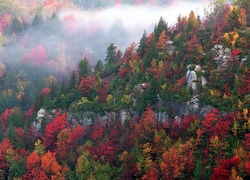 Wszystkie, Kolory, Jesieni, Drzewa, Góry
