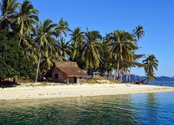 Tropiki, Górzyste, Wyspy, Morze, Plaża, Domek, Palmy