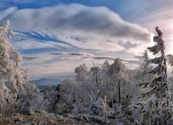 Zima, Drzewa, Góry, Chmury