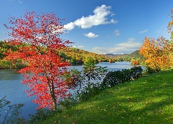 Jesień, Vermont, Lasy, Jezioro