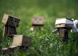 Danbo, Trawa, Zabawa, W Ciuciubabkę