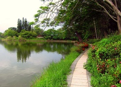 Park, Rzeka, Ścieżka, Spacerowa