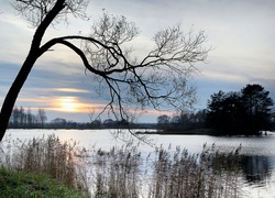 Jezioro, Wysepka, Drzewa, Trawy, Wschód, Słońca