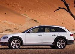 Audi, A4 AllRoad , Pustynia, Drzewo