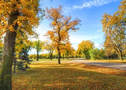 Jesień, Park, Alejka, Liście