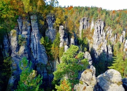 Szwajcaria, Saksońska, Park, Narodowy, Las, Skały