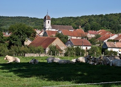 Borey, Village, Domy, Kościół, Pastwisko, Krowy