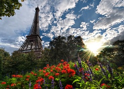 Wieża Eiffla, Kwiaty, Paryż