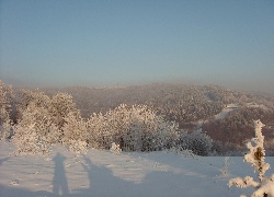 Las. Śnieg, Cień