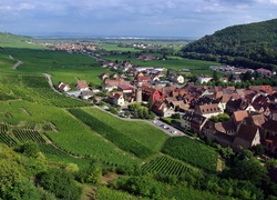 Panorama, Kayserberg, Wzgórza, Pola, Łąki, Las