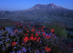Wulkan, Mount St. Helens, Łąka, Noc, Gwiazdy