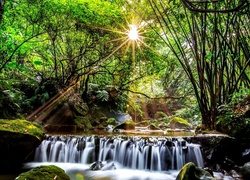 Las, Wodospad, Promienie Słońca