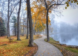 Park, Rzeka, Kaczki, Mgła, Ławki, Liście, Jesień