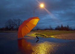 Deszcz, Parasol,  Promienie, Słońca, Drzewa