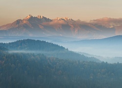 Lasy, Góry, Mgła