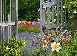 Bainbridge, Island, Ogród, Kwiatowy, Gate, Waszyngton