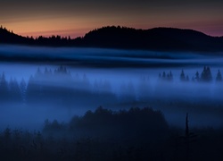 Las, Mgła
