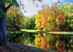 Park, Rzeka, Kolorowe, Drzewa, Jesień