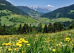 Tyrol, Dolina, Wildschoenau, Lasy, Łąka, Wioska