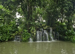 Park, Wodospad, Drzewa