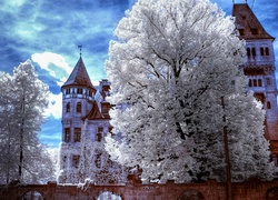Zamek w Branie, Castelul Bran, Miejscowość Bran, Siedmiogród, Rumunia