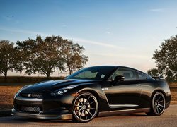 Nissan, GT-R, Drzewa
