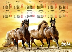Kalendarz, 2014, Konie