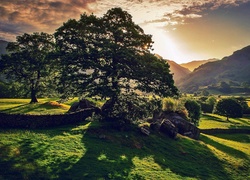 Cumbria, Lake, District, Wzgórza, Drzewa, Chmury, Przebijające, Światło