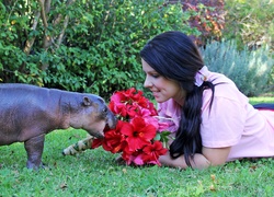 Hipopotam, Trawa Kobieta, Czerwone, Kwiaty