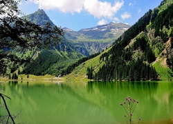 Góry, Lasy, Jezioro, Schwrzensee