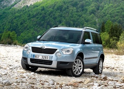 Skoda, Yeti, Las, Kamienie