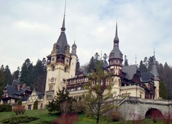 Sinaia, Pałac Peles, Drzewa