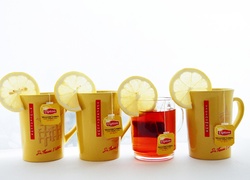 Lipton