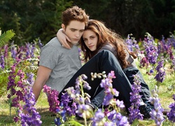 Łąka, Kwiaty, Robert Pattinson, Kristen Stewart