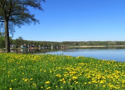 Wiosna, Jezioro, Kwiaty