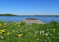 Wiosna, Jezioro, Pomost, Kwiaty