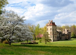 Muzeum, Fonthill Castle, Stan Pensylwania, Stany Zjednoczone, Drzewa