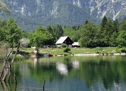 Góry, Lasy, Jezioro, Bohinj, Domy