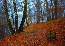 Jesień, Park, Rzeka, Ławka