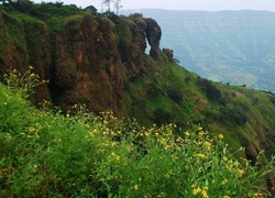 Góra, Kwiatki, Mahabaleshwar, Indie